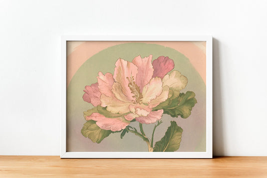 classic flower drawing